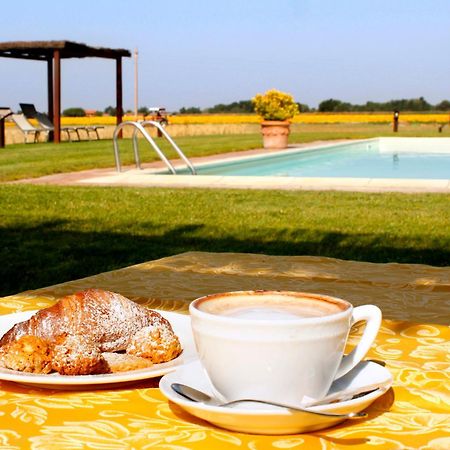 Agriturismo Giuncola & Granaiolo 里斯佩施雅 外观 照片