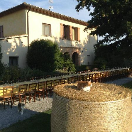 Agriturismo Giuncola & Granaiolo 里斯佩施雅 外观 照片