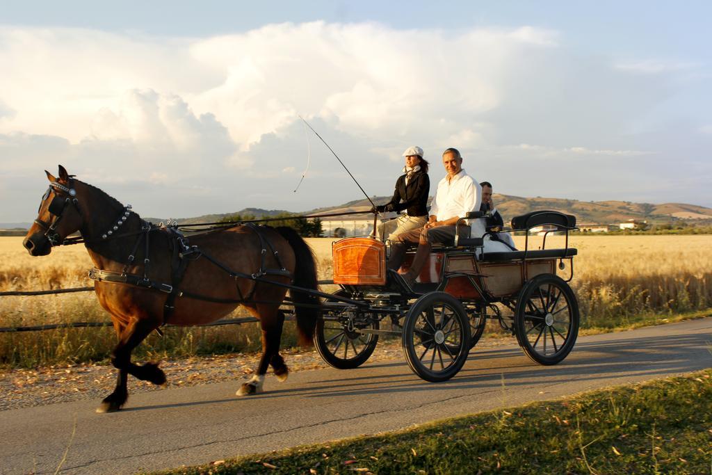 Agriturismo Giuncola & Granaiolo 里斯佩施雅 外观 照片