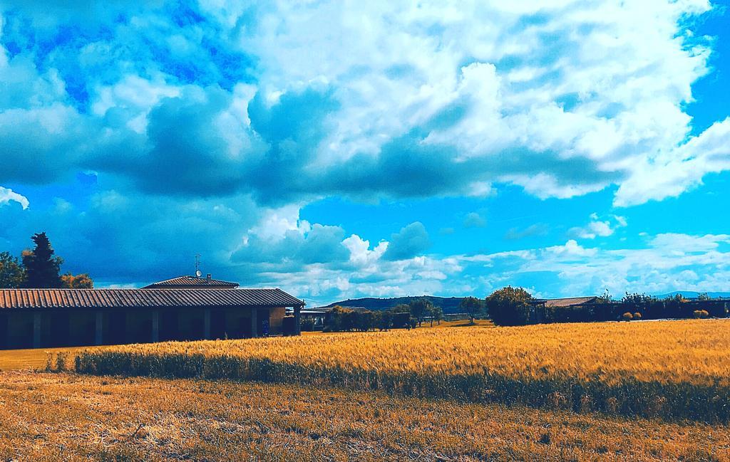 Agriturismo Giuncola & Granaiolo 里斯佩施雅 外观 照片
