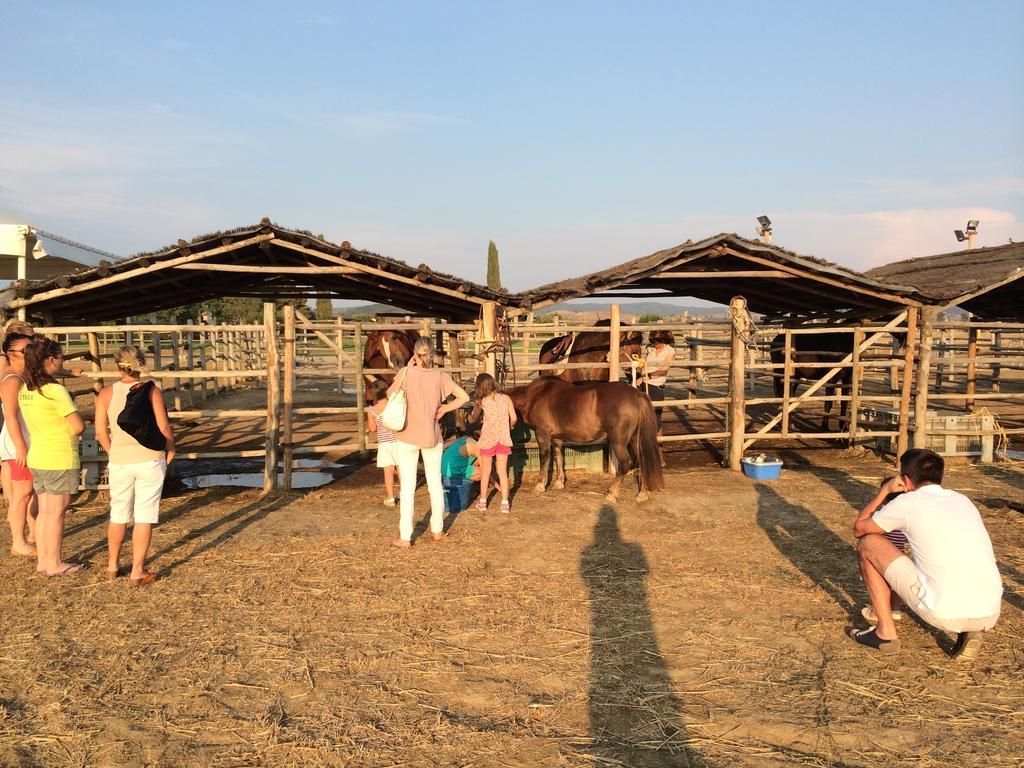 Agriturismo Giuncola & Granaiolo 里斯佩施雅 外观 照片