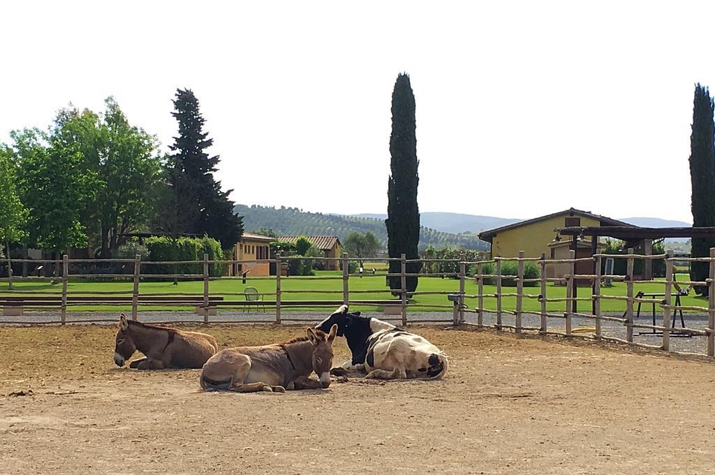 Agriturismo Giuncola & Granaiolo 里斯佩施雅 外观 照片