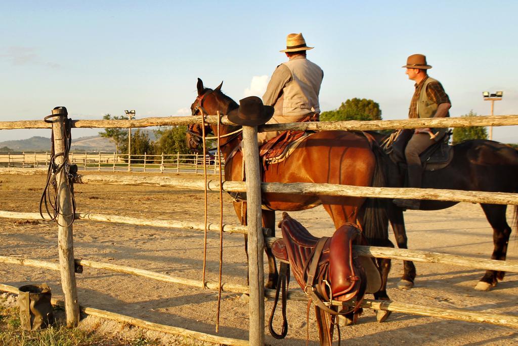 Agriturismo Giuncola & Granaiolo 里斯佩施雅 外观 照片