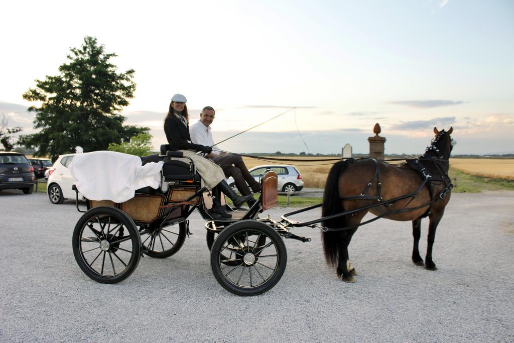 Agriturismo Giuncola & Granaiolo 里斯佩施雅 外观 照片