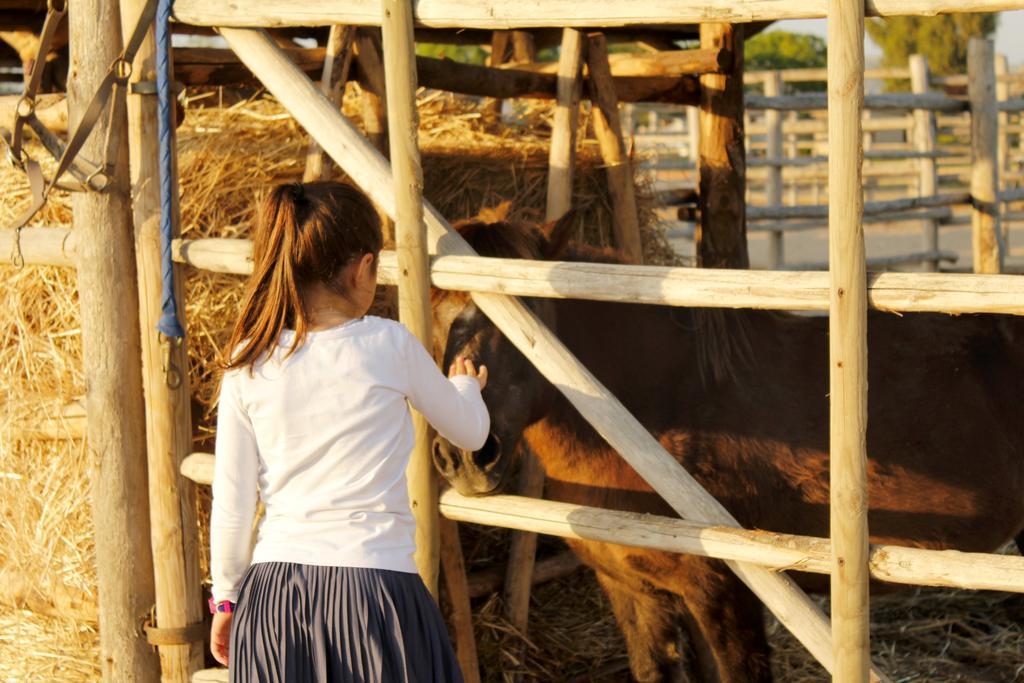 Agriturismo Giuncola & Granaiolo 里斯佩施雅 外观 照片
