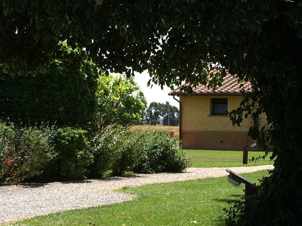 Agriturismo Giuncola & Granaiolo 里斯佩施雅 外观 照片