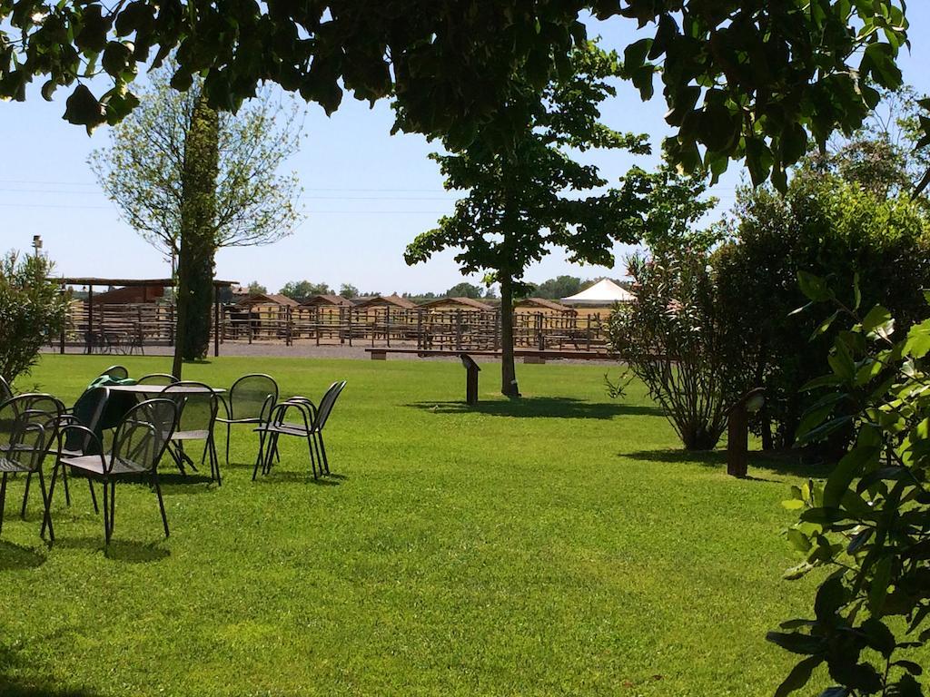 Agriturismo Giuncola & Granaiolo 里斯佩施雅 外观 照片