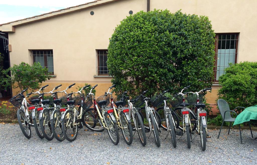 Agriturismo Giuncola & Granaiolo 里斯佩施雅 外观 照片