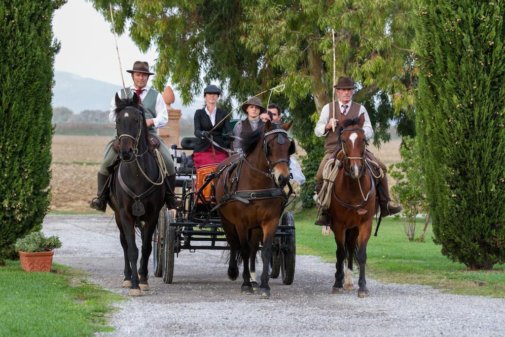 Agriturismo Giuncola & Granaiolo 里斯佩施雅 外观 照片