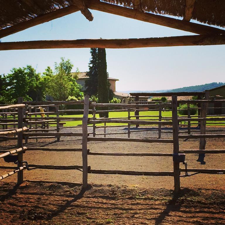 Agriturismo Giuncola & Granaiolo 里斯佩施雅 外观 照片