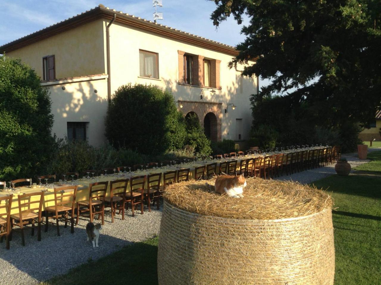 Agriturismo Giuncola & Granaiolo 里斯佩施雅 外观 照片